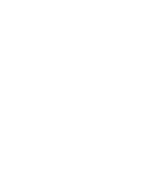 Logo blanc Alexandre Texier